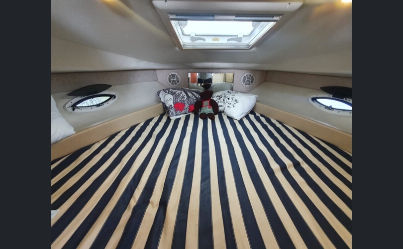 Bayliner 285 SB-kuva-13